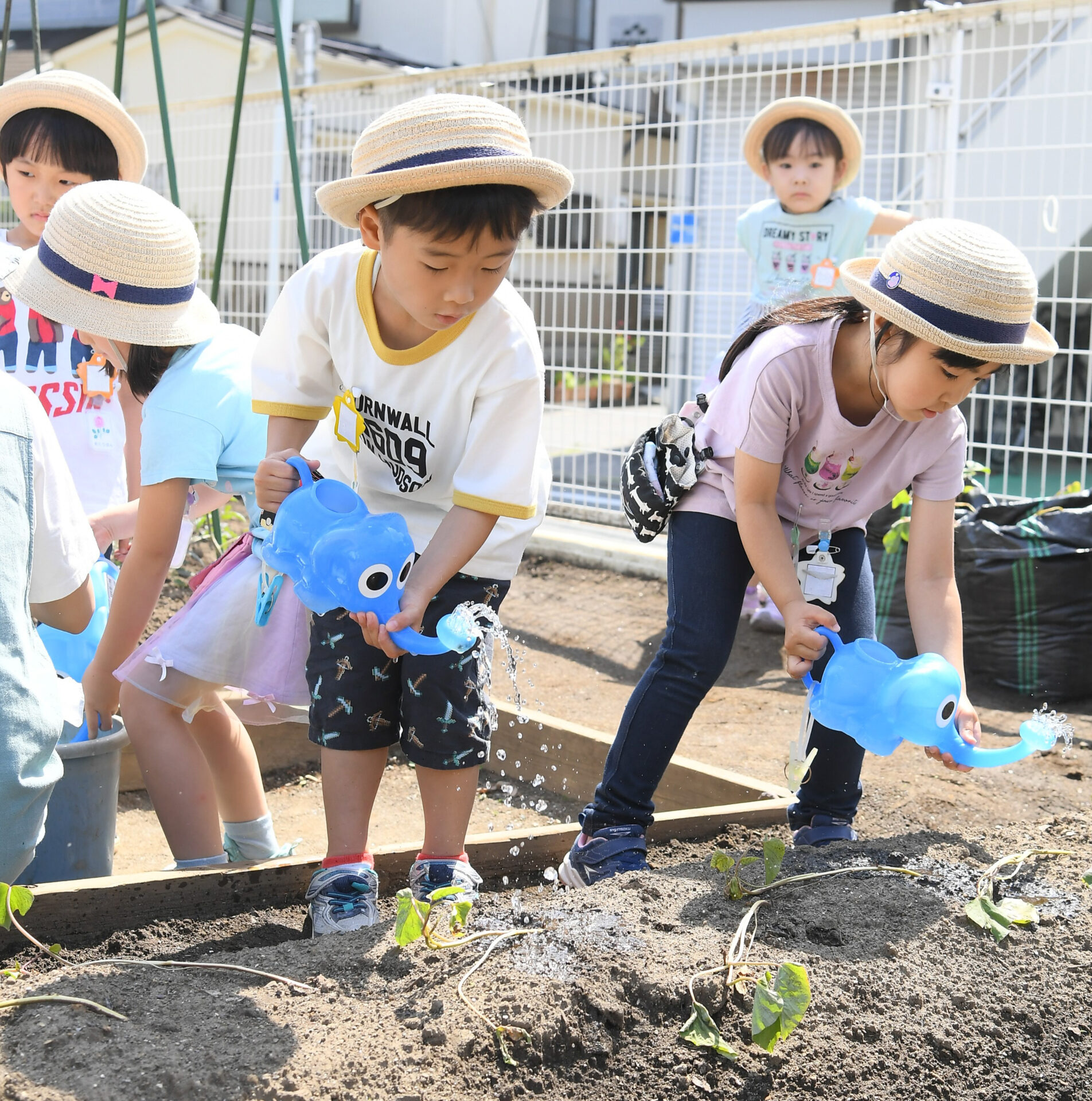 向南幼稚園はどんなところ？